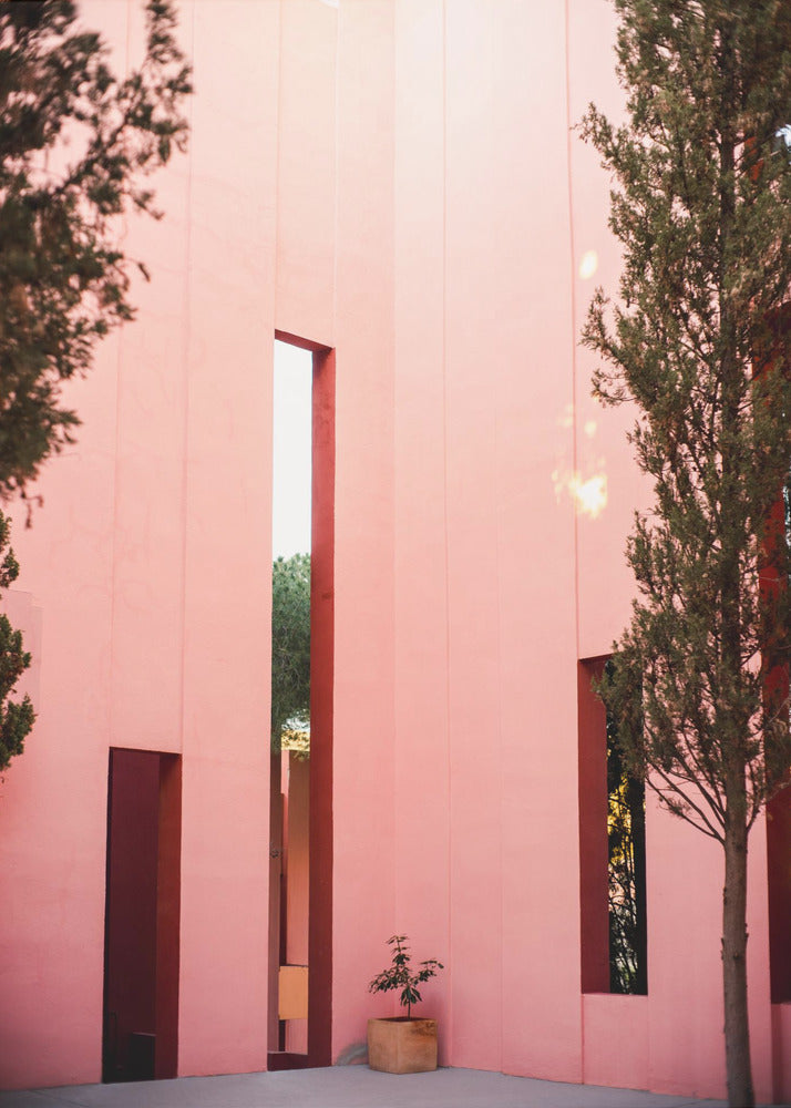 Muralla Roja | Canvas