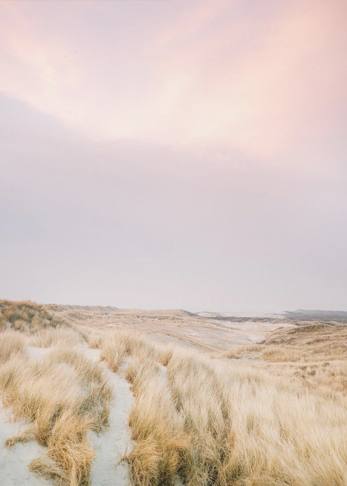 Amelander Duinen 1 | Canvas
