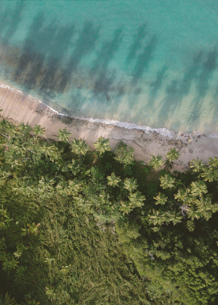 Palm Beach van bovenaf | Canvas
