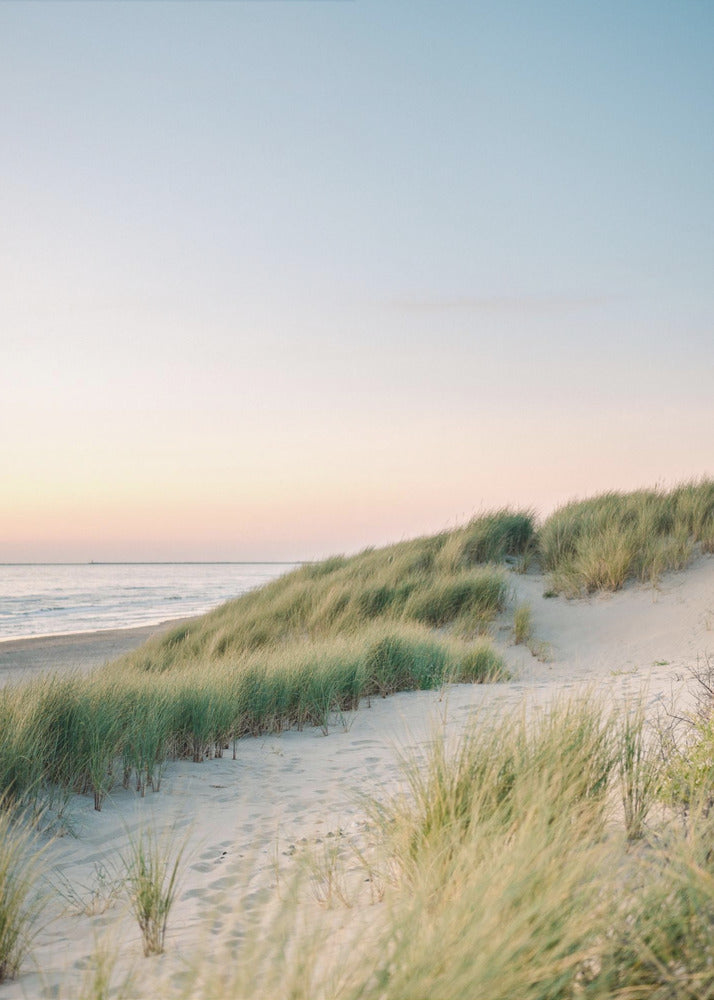 Nederlandse Duinen | Poster
