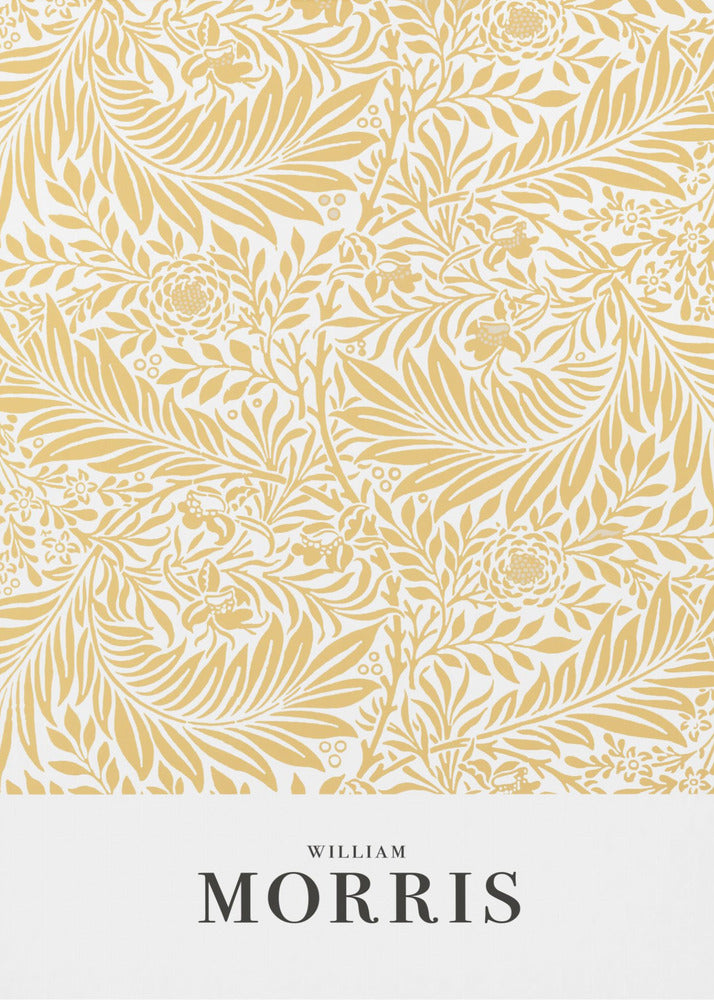 Larkspur | Canvas