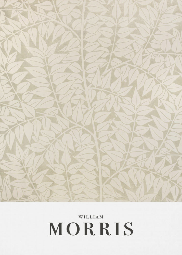 Branch | Canvas