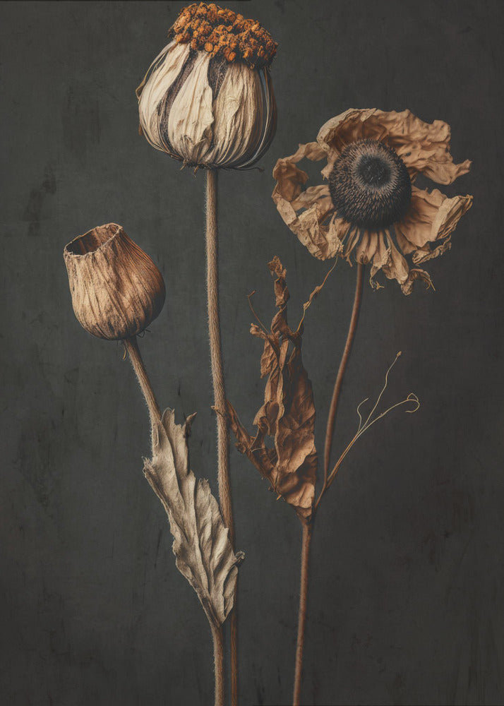 Verwelkte elegantie | Poster