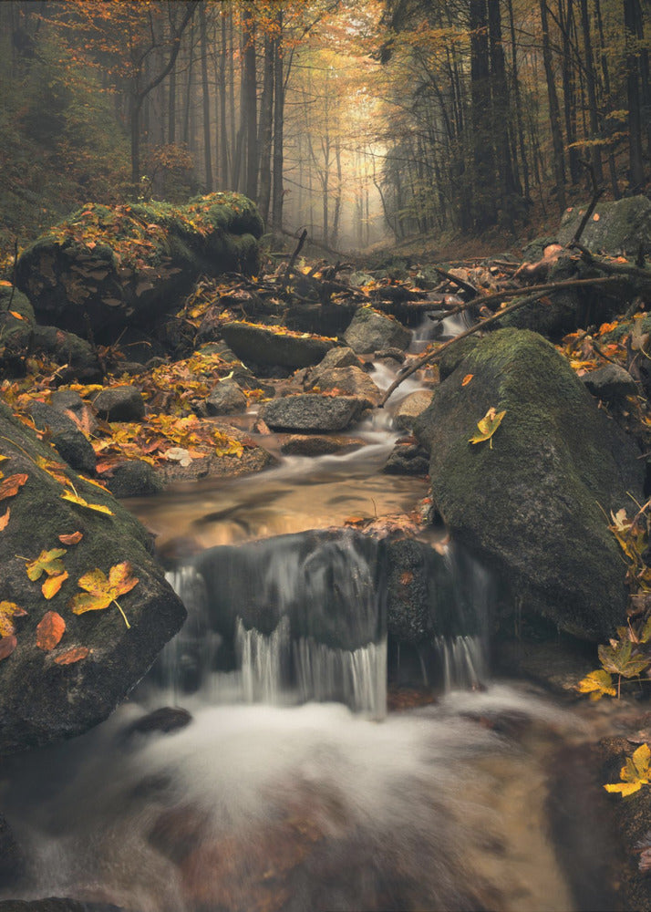 Dromerige herfst | Poster