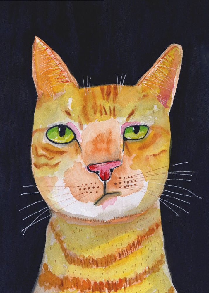 Gemberkat | Canvas