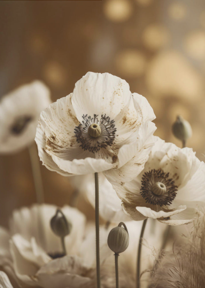 Fluisterende bloemen | Canvas