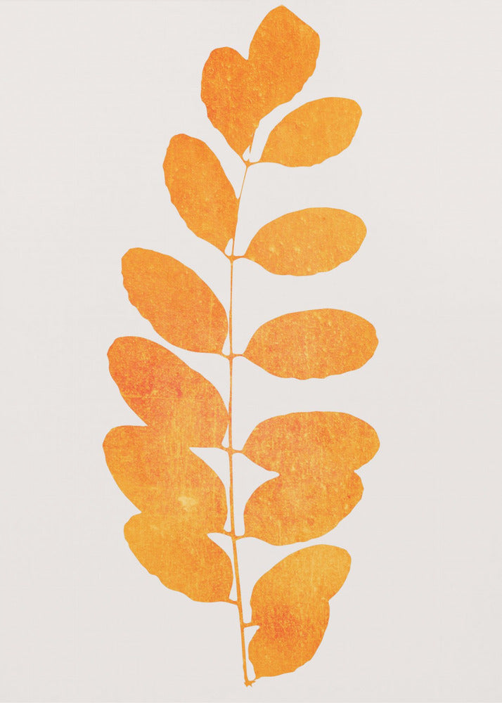 Oak Leaf | Canvas