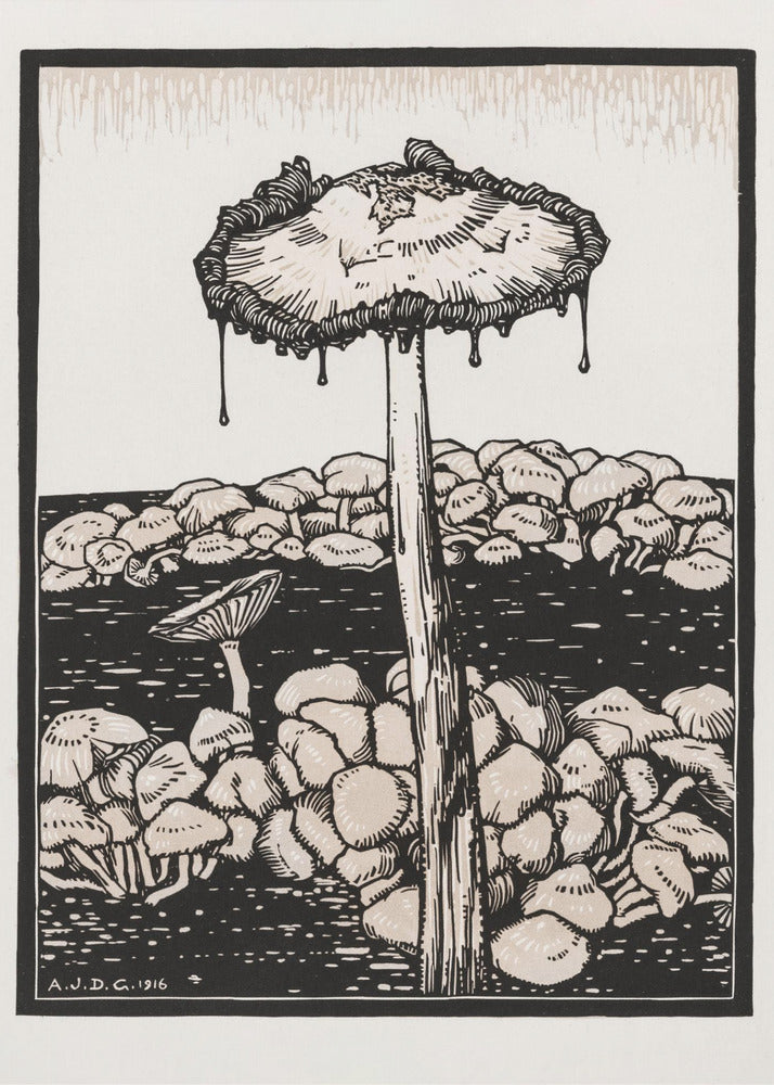 Druipende paddenstoel 1916 | Canvas