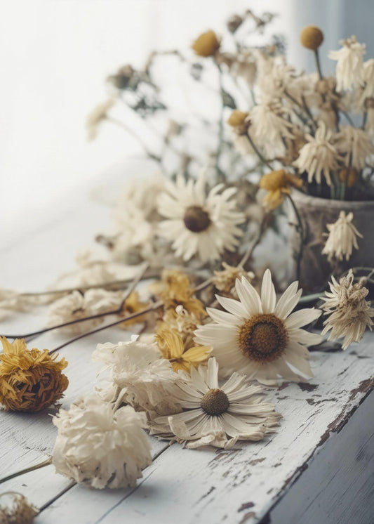 Faded Petals | Poster