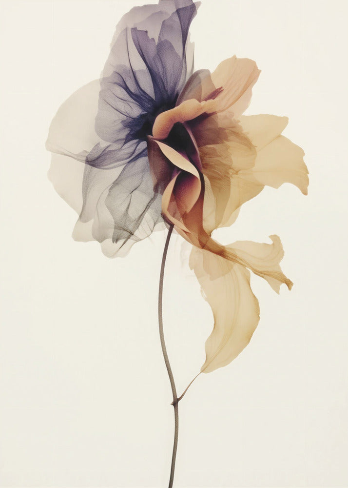 Chiffonbloem | Canvas