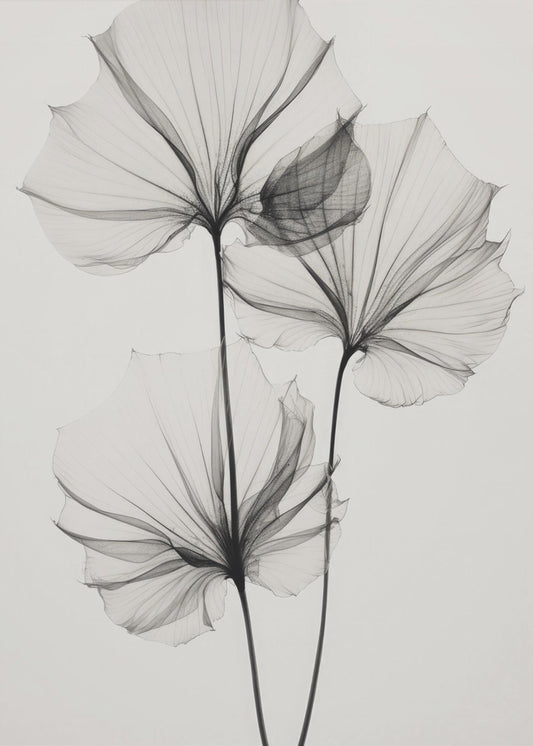 Transparent Botanic No 3 | Poster