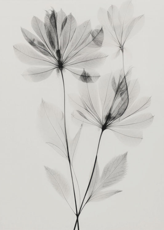 Ethereal Blossoms | Poster