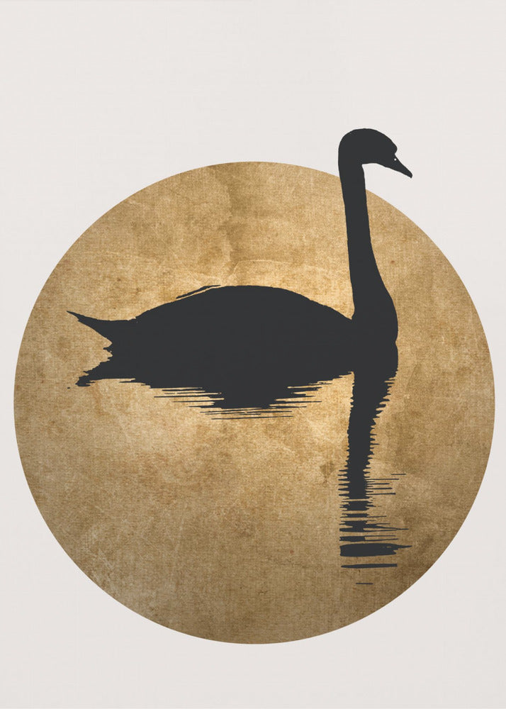 The Swan Gold | Poster