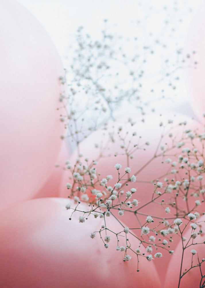 Delicate ballonnen met bloem | Canvas