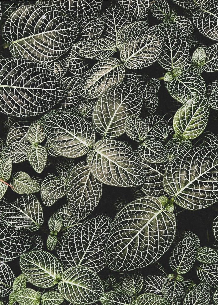 Veins of Nature | Canvas