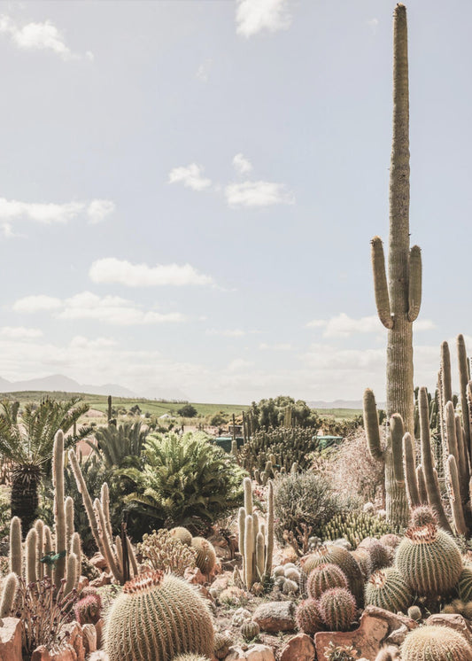 Woestijnsymfonie | Canvas