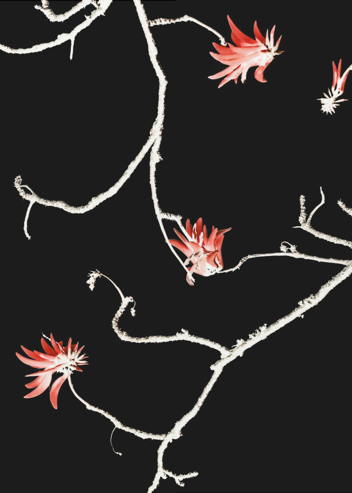 Scharlaken Tak Dans | Canvas