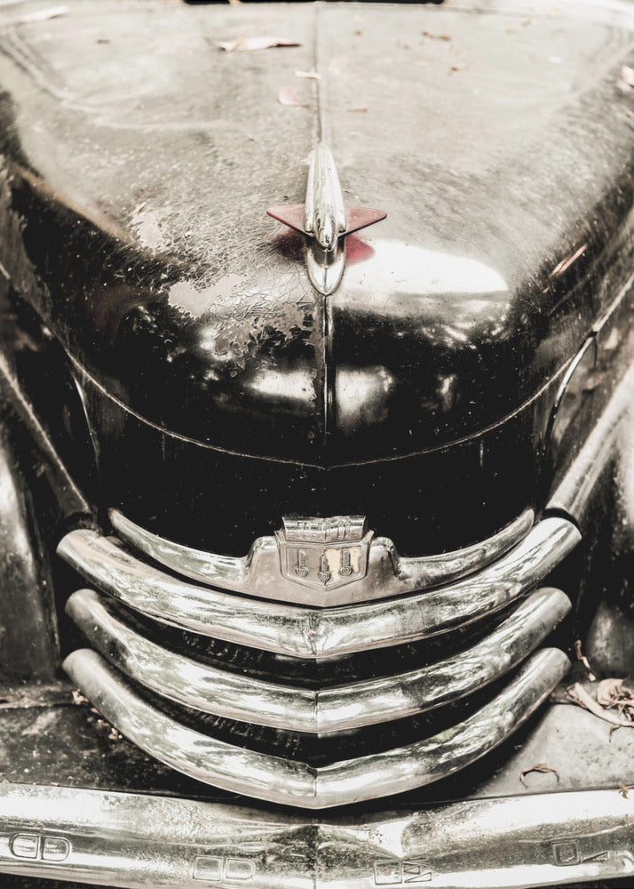 Vintage elegantie | Poster