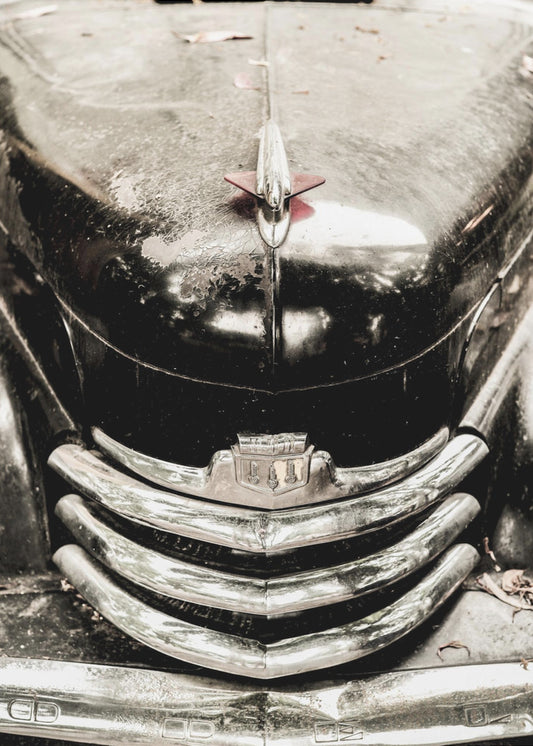Vintage elegantie | Poster