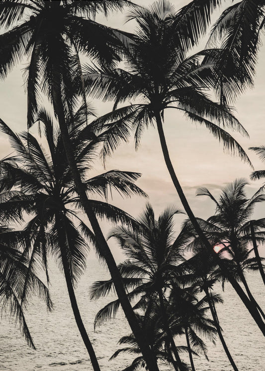 Tropische schemering | Canvas