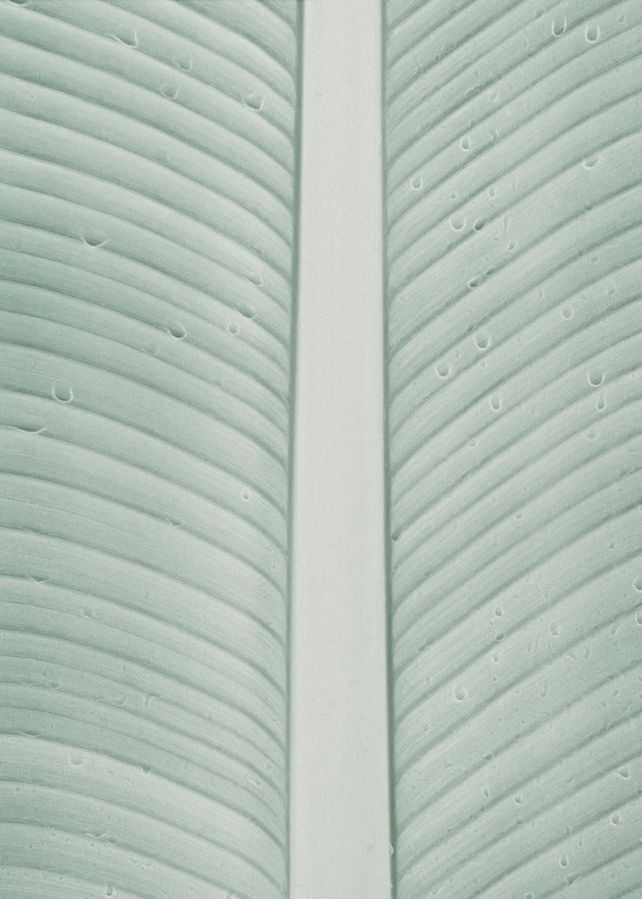 Tropische aderen | Canvas