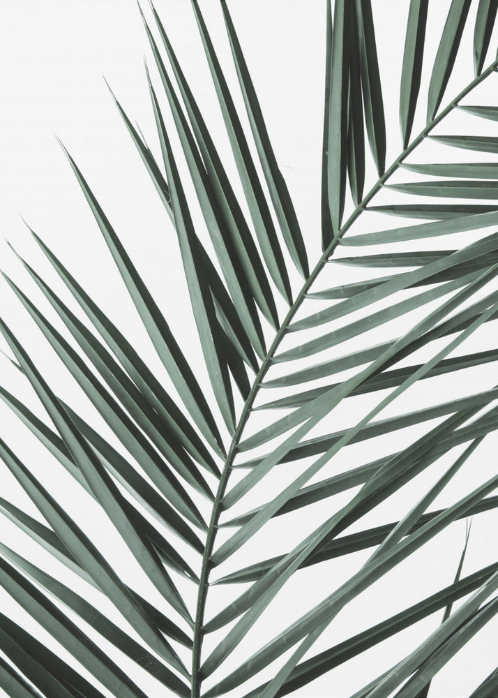 Bladrijke elegantie | Canvas