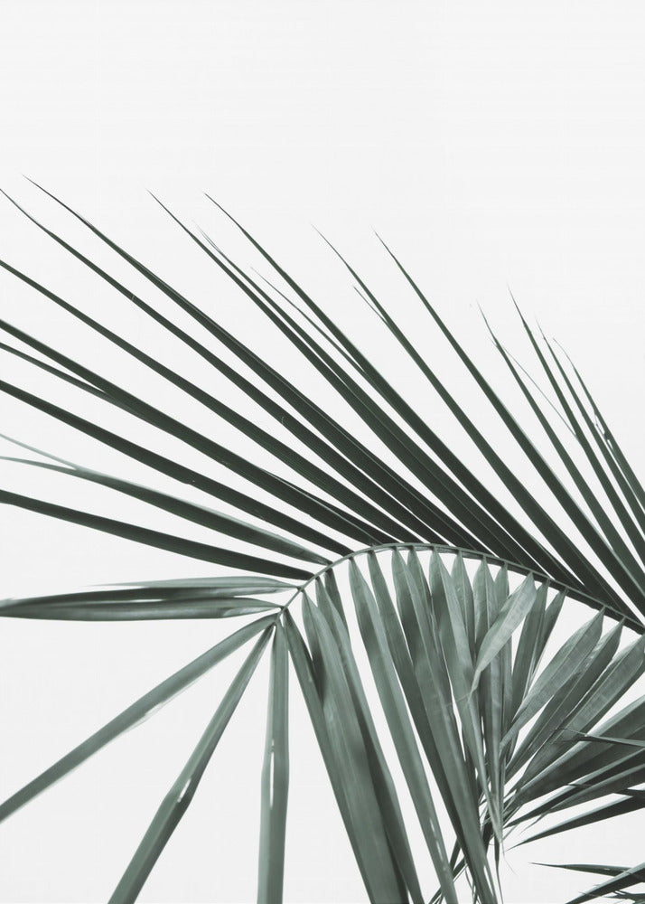 Tropische elegantie | Canvas