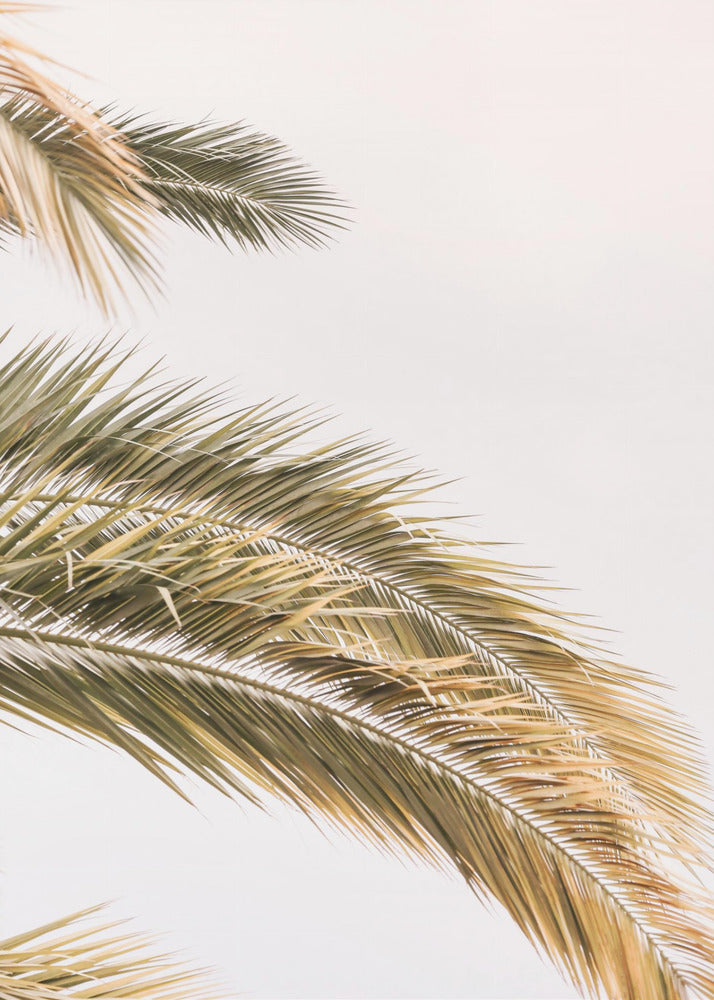 Gouden Palmbries | Canvas