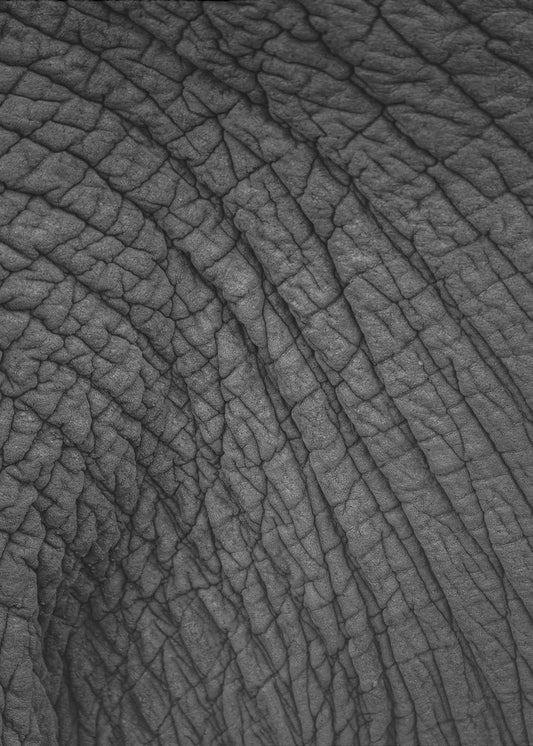 Olifantenwandtapijt | Poster