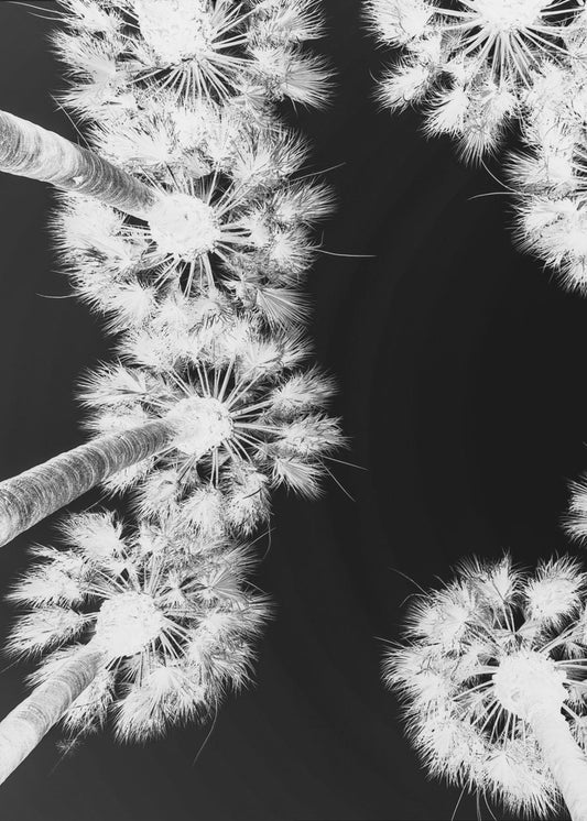 Omgekeerd palmlandschap | Poster