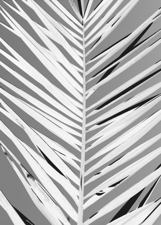 Monochrome bladeren | Canvas