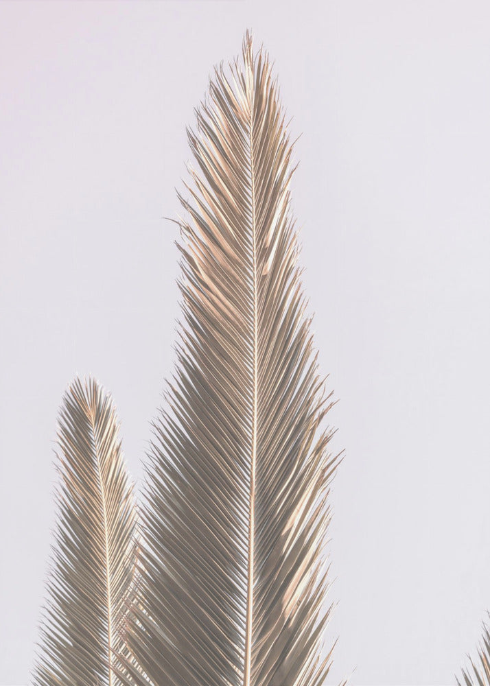 Gouden bladeren hemelwaarts | Canvas