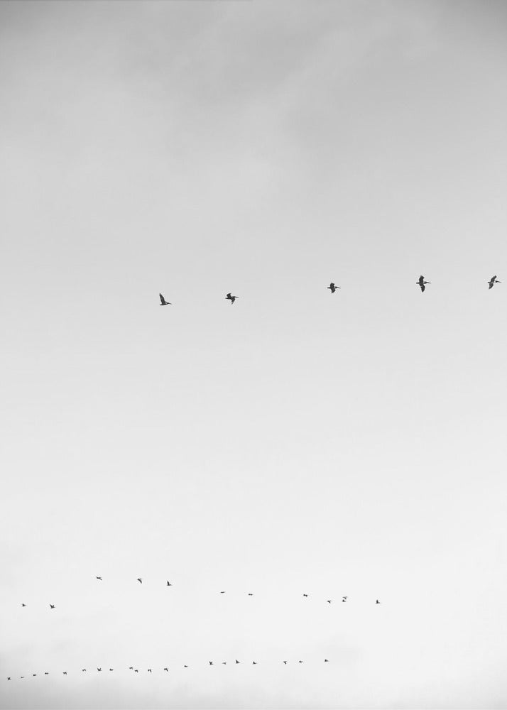 Hemelwaartse vlucht | Canvas