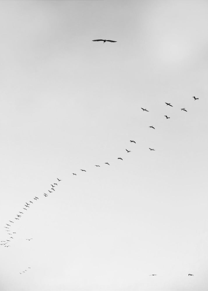 Hemelreis | Canvas