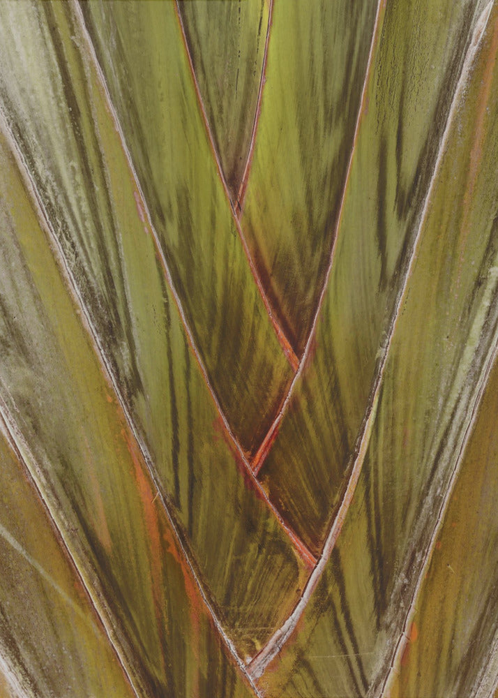 Groene Vortex | Canvas