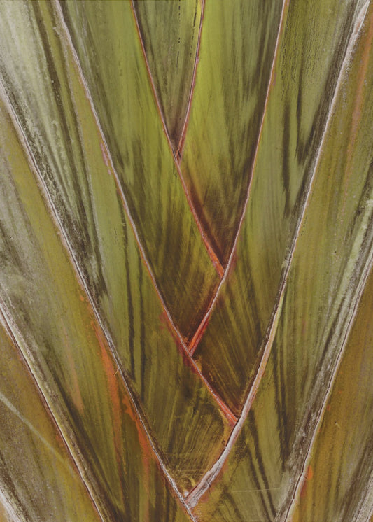 Groene Vortex | Canvas