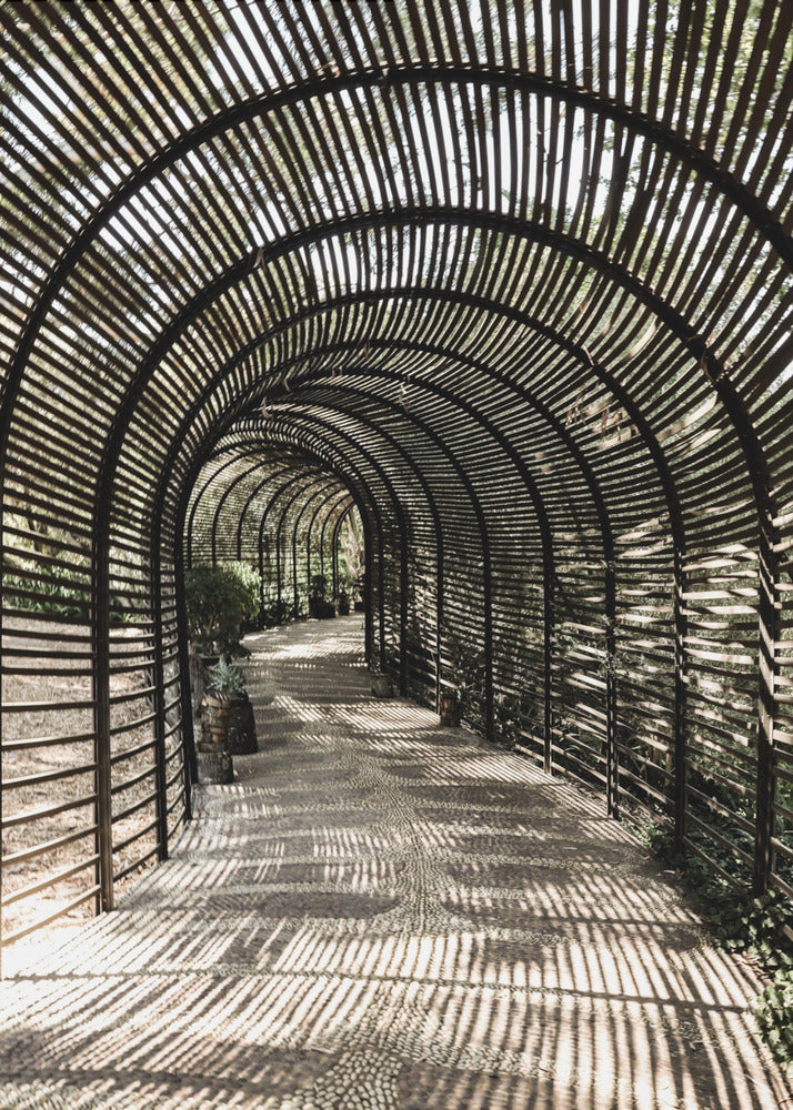 Schaduwtuin | Poster