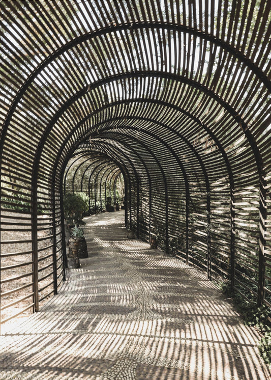 Schaduwtuin | Poster