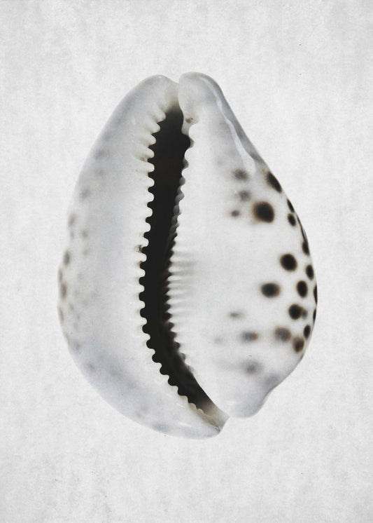 Spring Tide | Poster