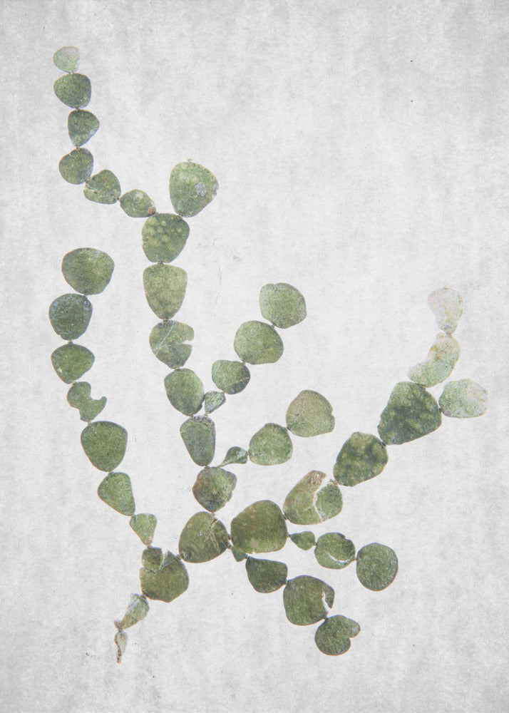 This Minimalist Artwork | Poster