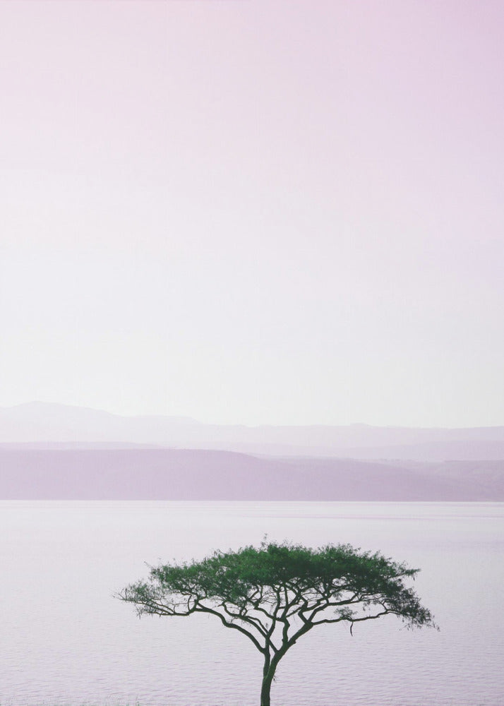 Tree By A Tranquil Lake | Canvas
