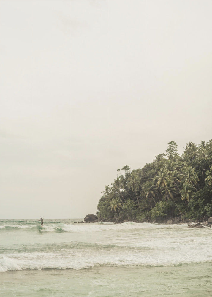 Tranquil Beach Scene With Lush Palm Trees | Canvas