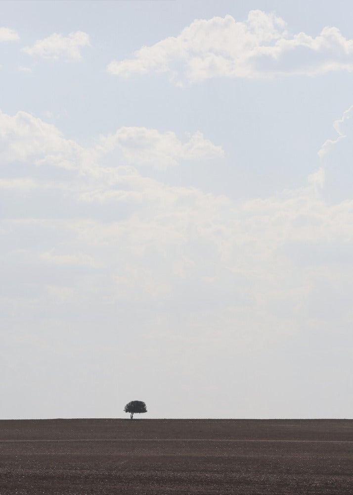 Swart Land | Canvas
