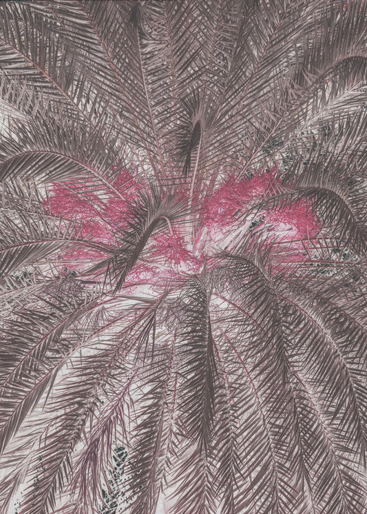 Levendige weergave van palmbladeren | Canvas