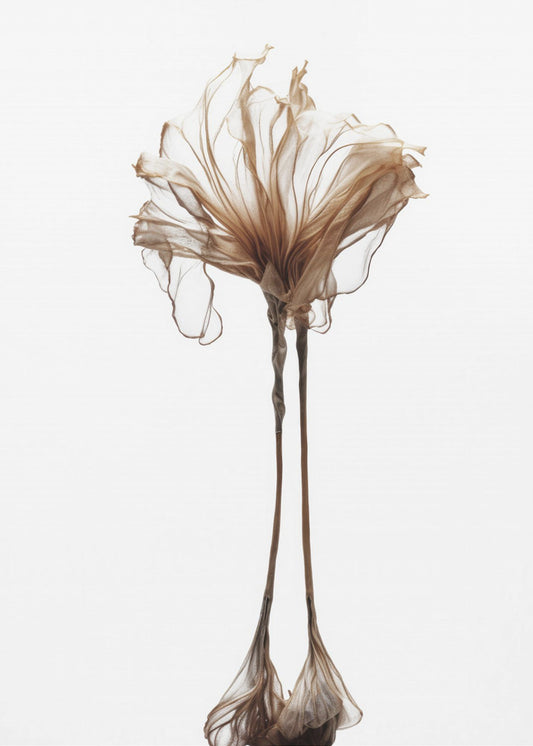 Delicate grilligheid | Poster