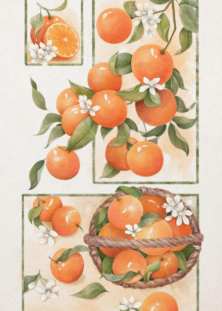 Oranjebloesem | Poster