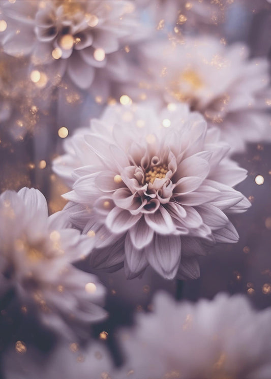 Bloemblaadjesdromen | Poster