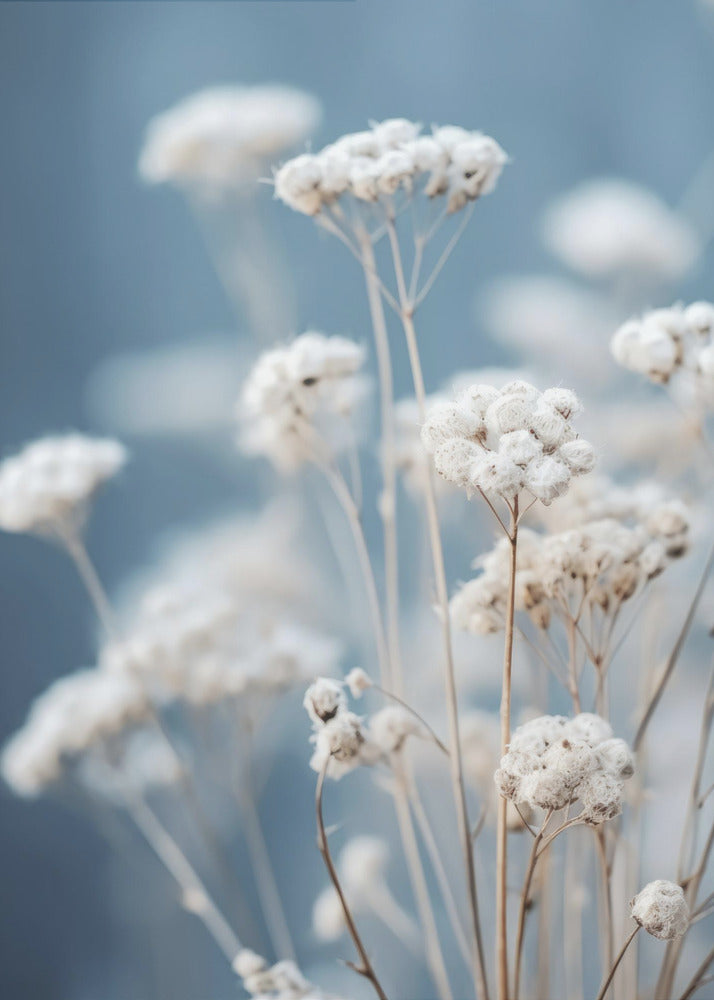 Delicate Fluisteringen | Canvas