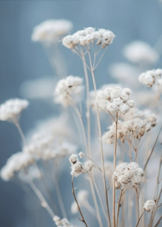Delicate Fluisteringen | Canvas