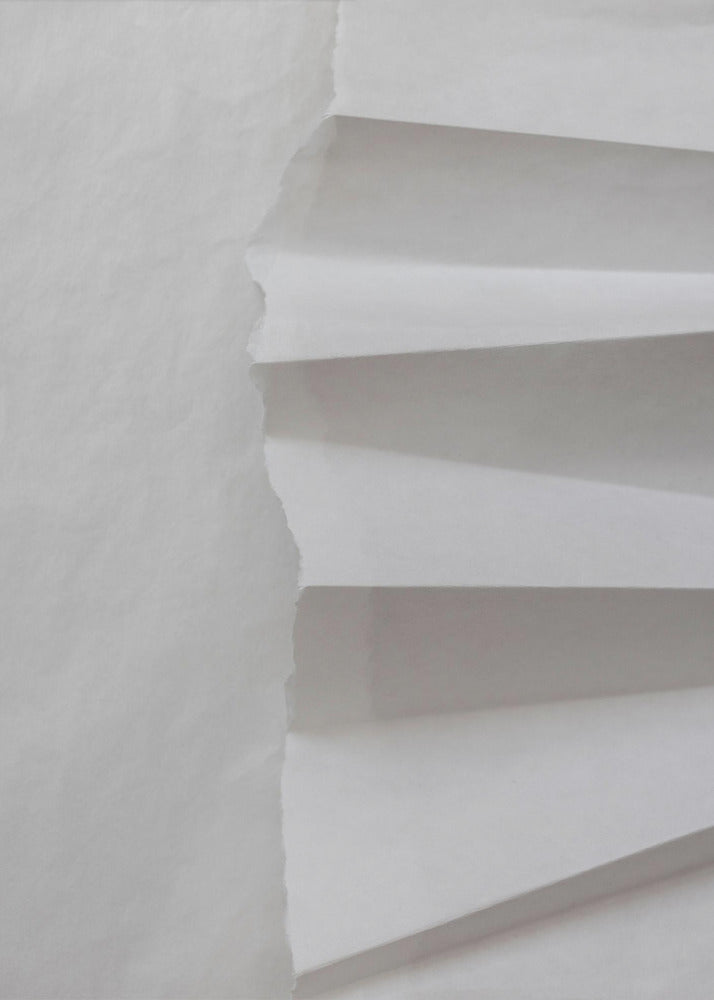 Papierstudies 12 | Canvas